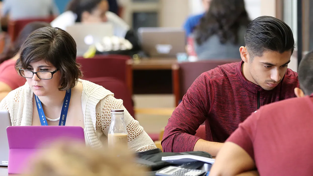 Students in Library